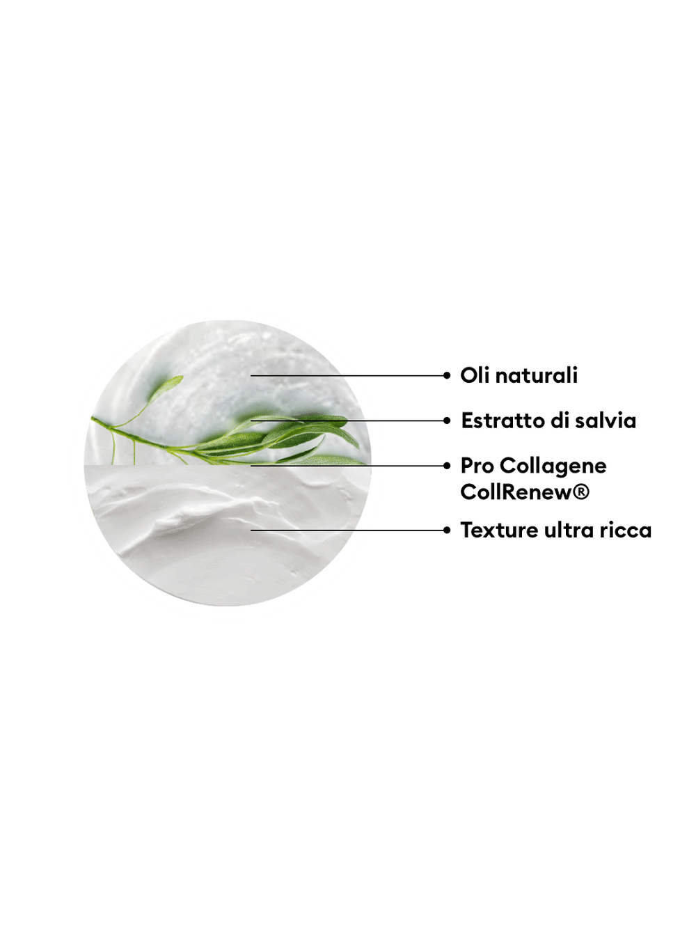 Crema Rassodante Nutriente - Farmacisti Preparatori