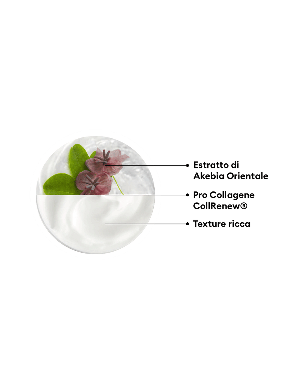 Crema Rassodante Lifting - Farmacisti Preparatori
